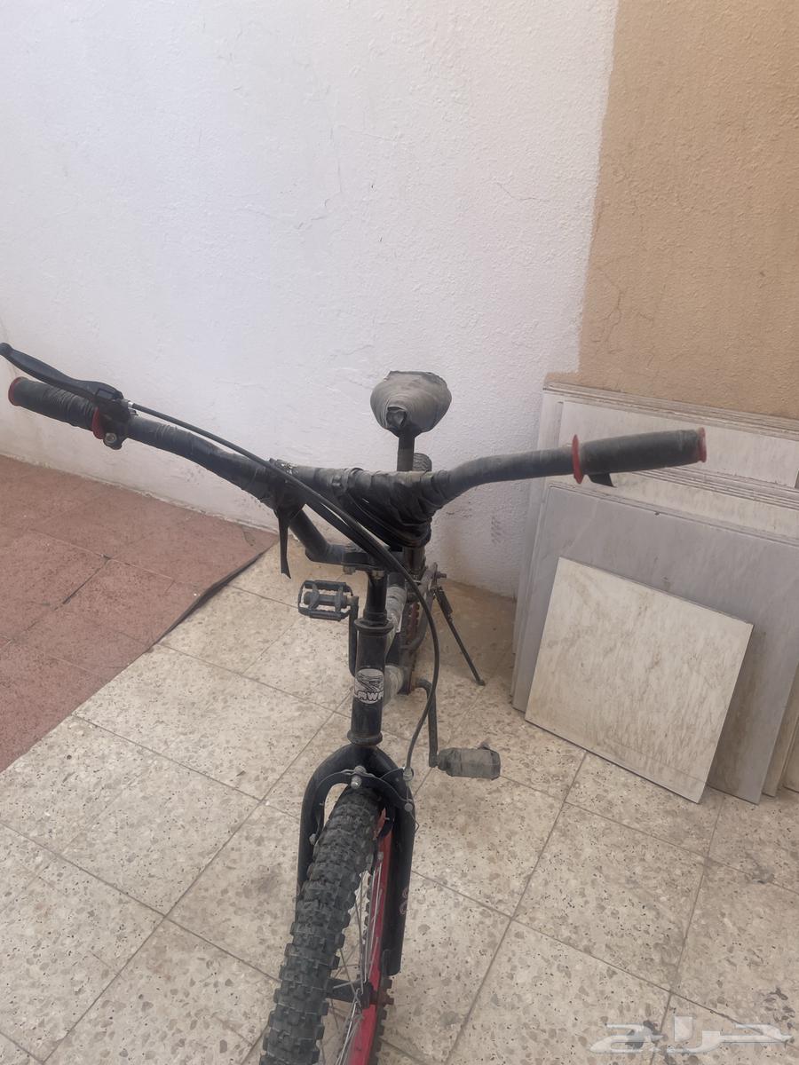 Red Cobra bicycle clean64417197659779111