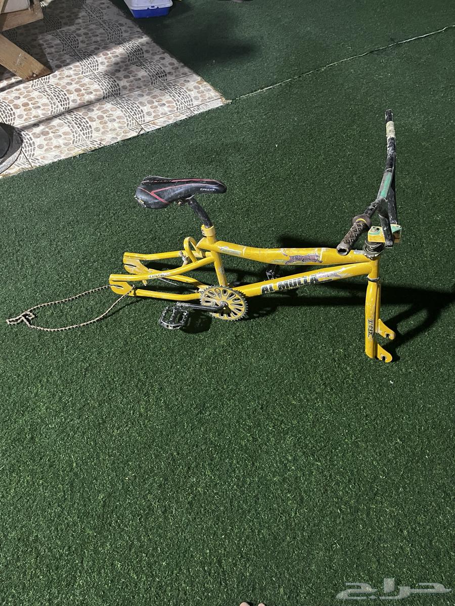 كوبرا صيني64418703348609111