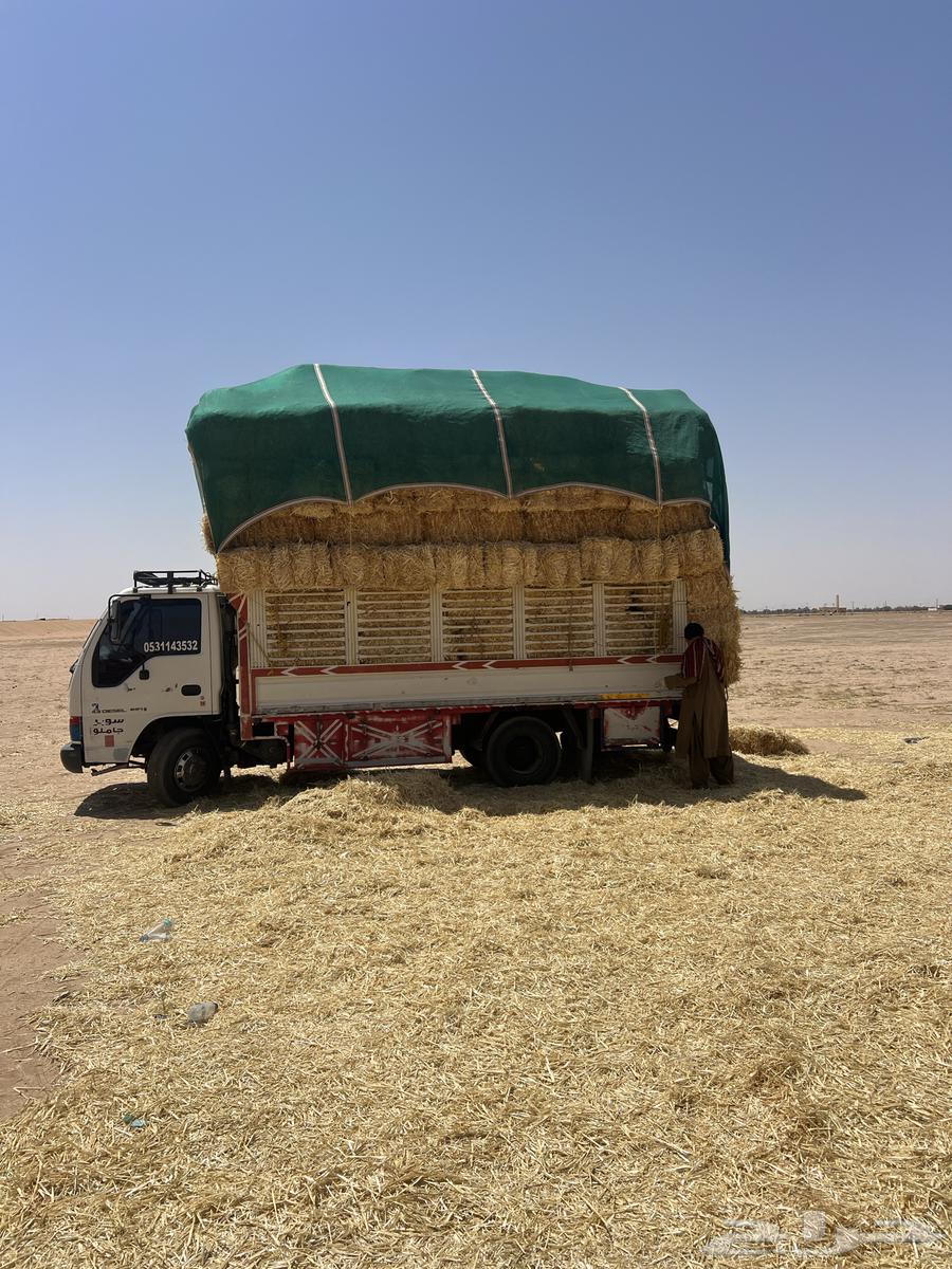 تبن بر صافي64415746776451113