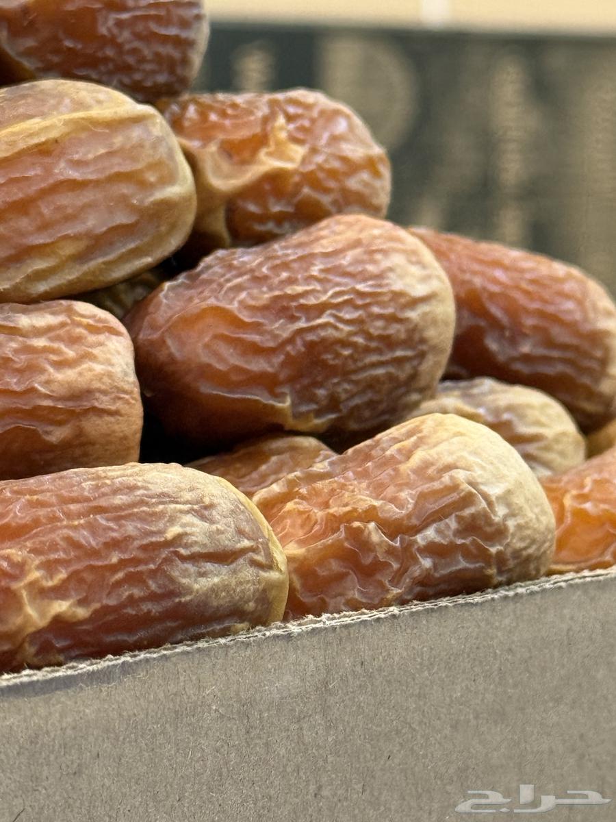 صقعي ملكي فاخر64413599629058111