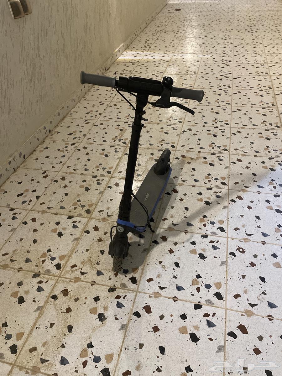 سكوتر جديد للطفال64412414972545110