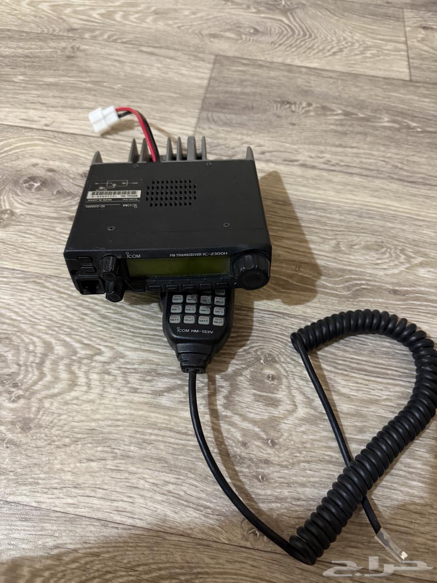 جاهز كنود للبيع نظيف64415827790595112