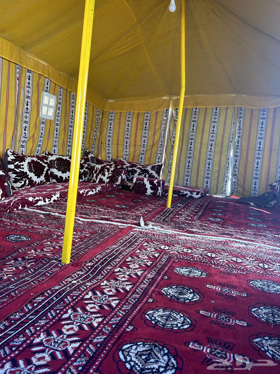 خيمه للبيع64415908041346110