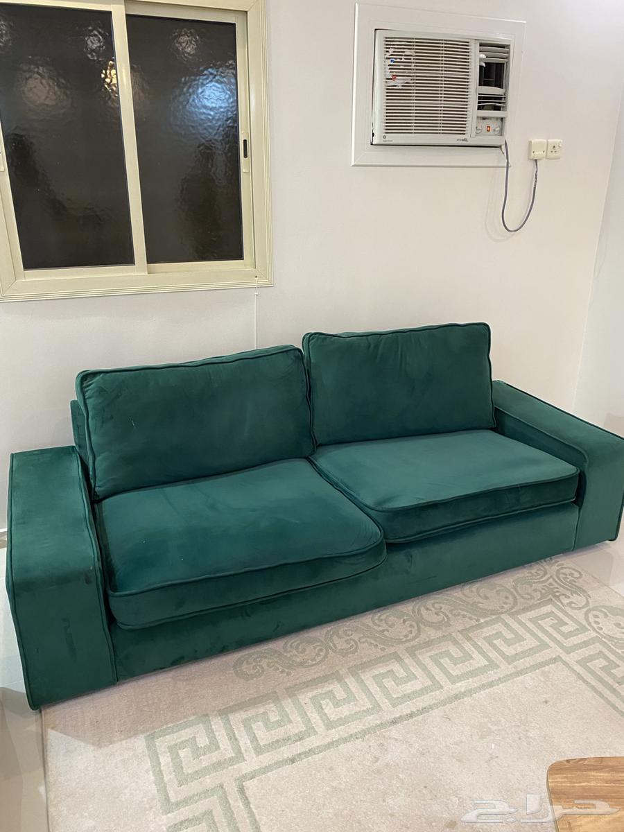 Clean Olive Sofa Set64412360420353113