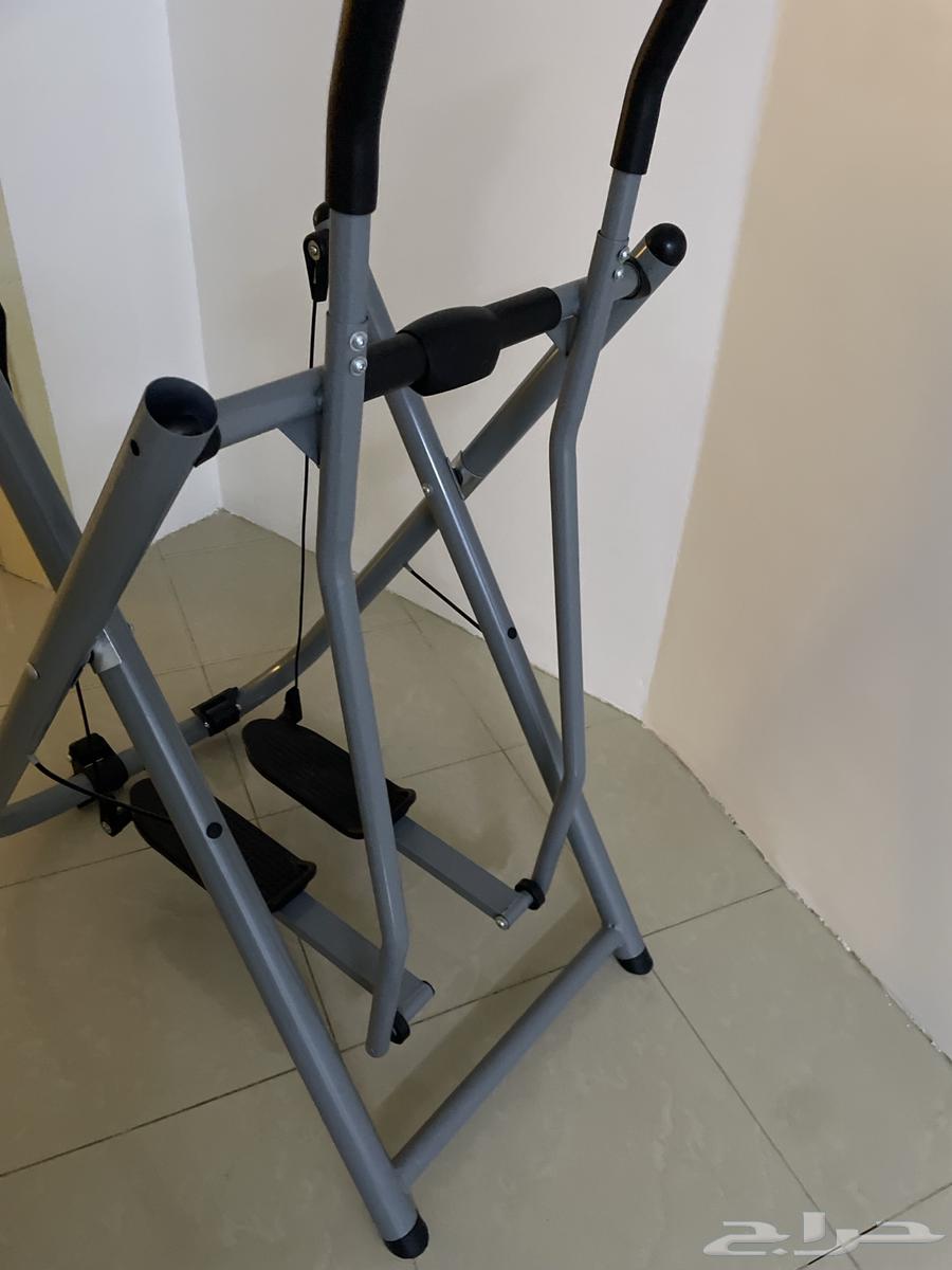 الغزال الطائر64416623842562112