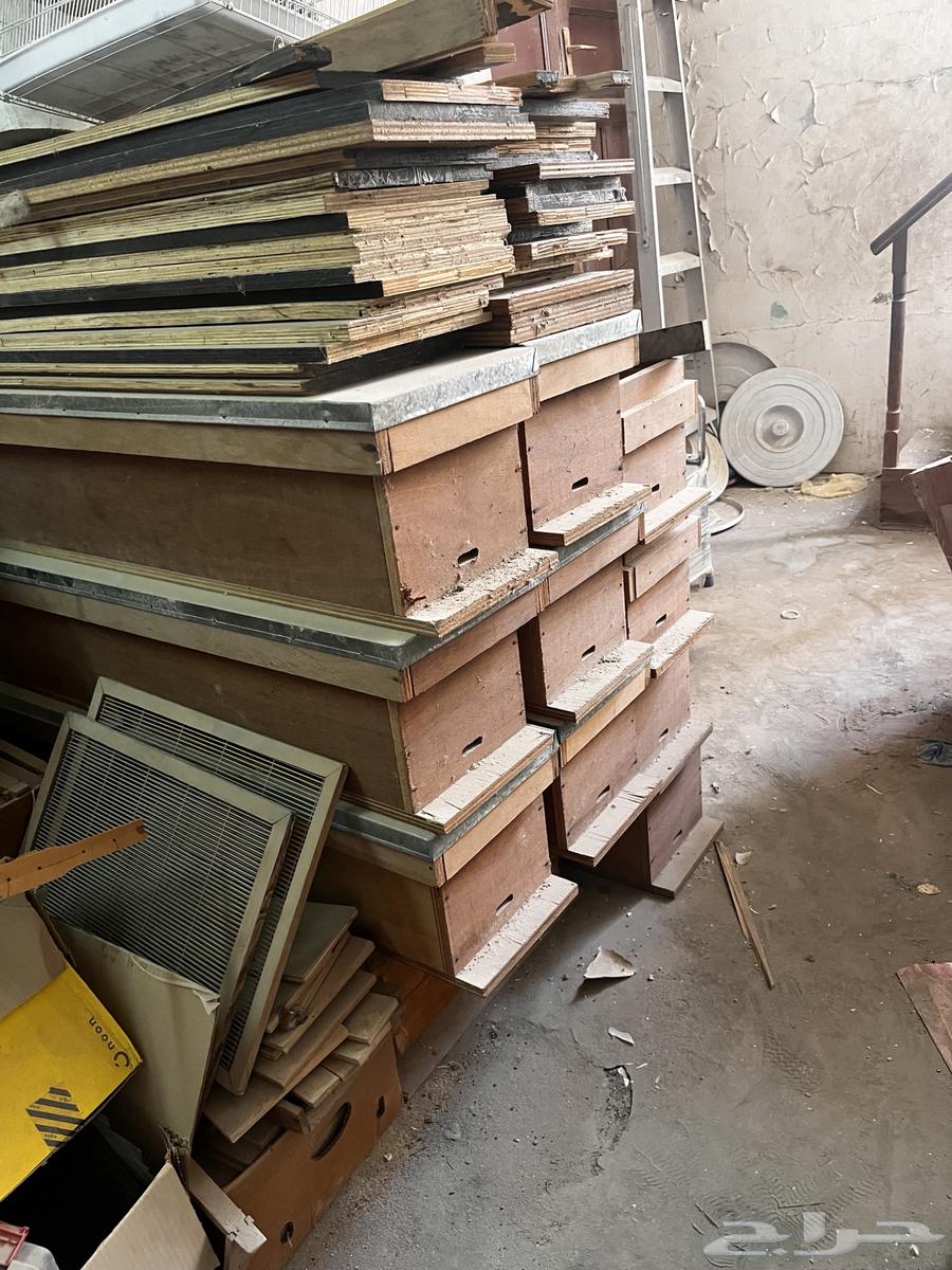 للبيع براويز نحل وخلايا فراز للبيع بأعلى سعر64415773846018110