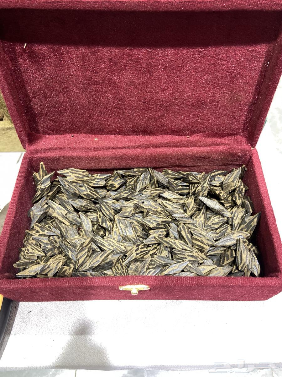 عود تايقر64415357342466111