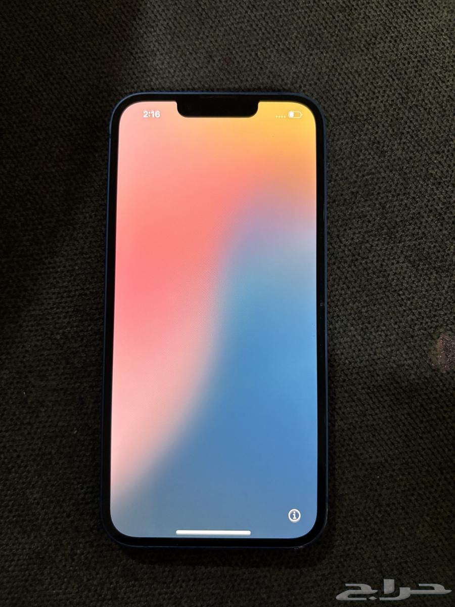 iPhone 13 regular64415235554563111