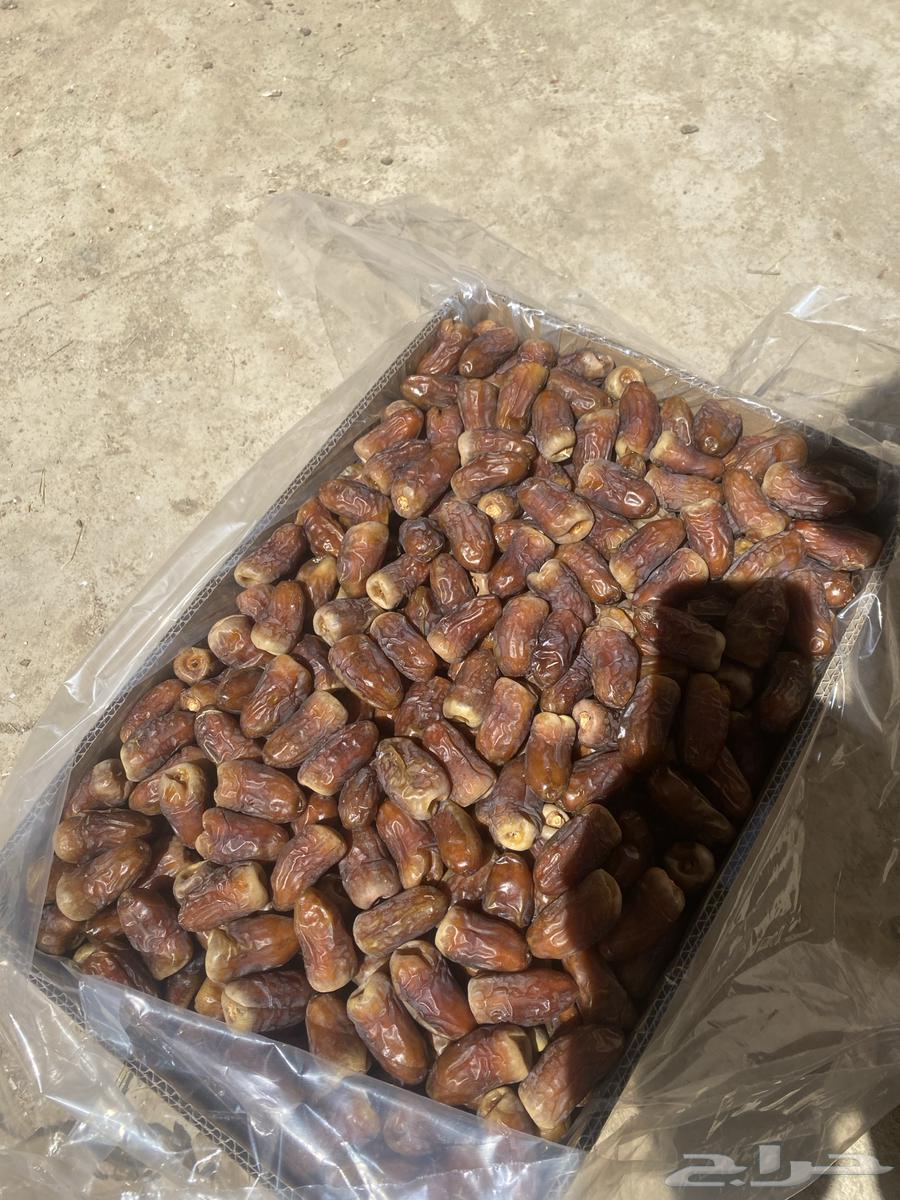 Al-Birni Al-Eyss (Branch) Number One Luxury, Delivery Available to All Areas64417549492483111