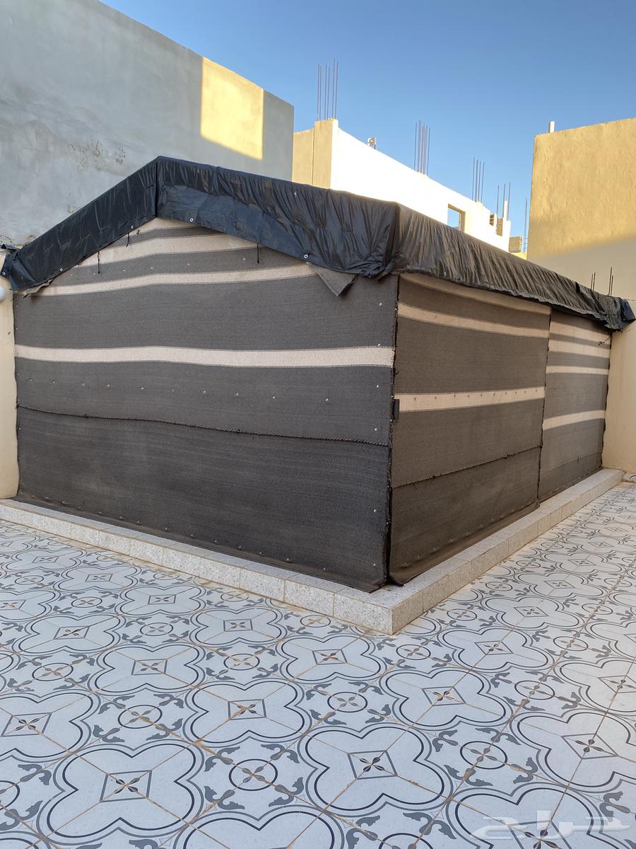 بيت شعر للبيع64416743332867111