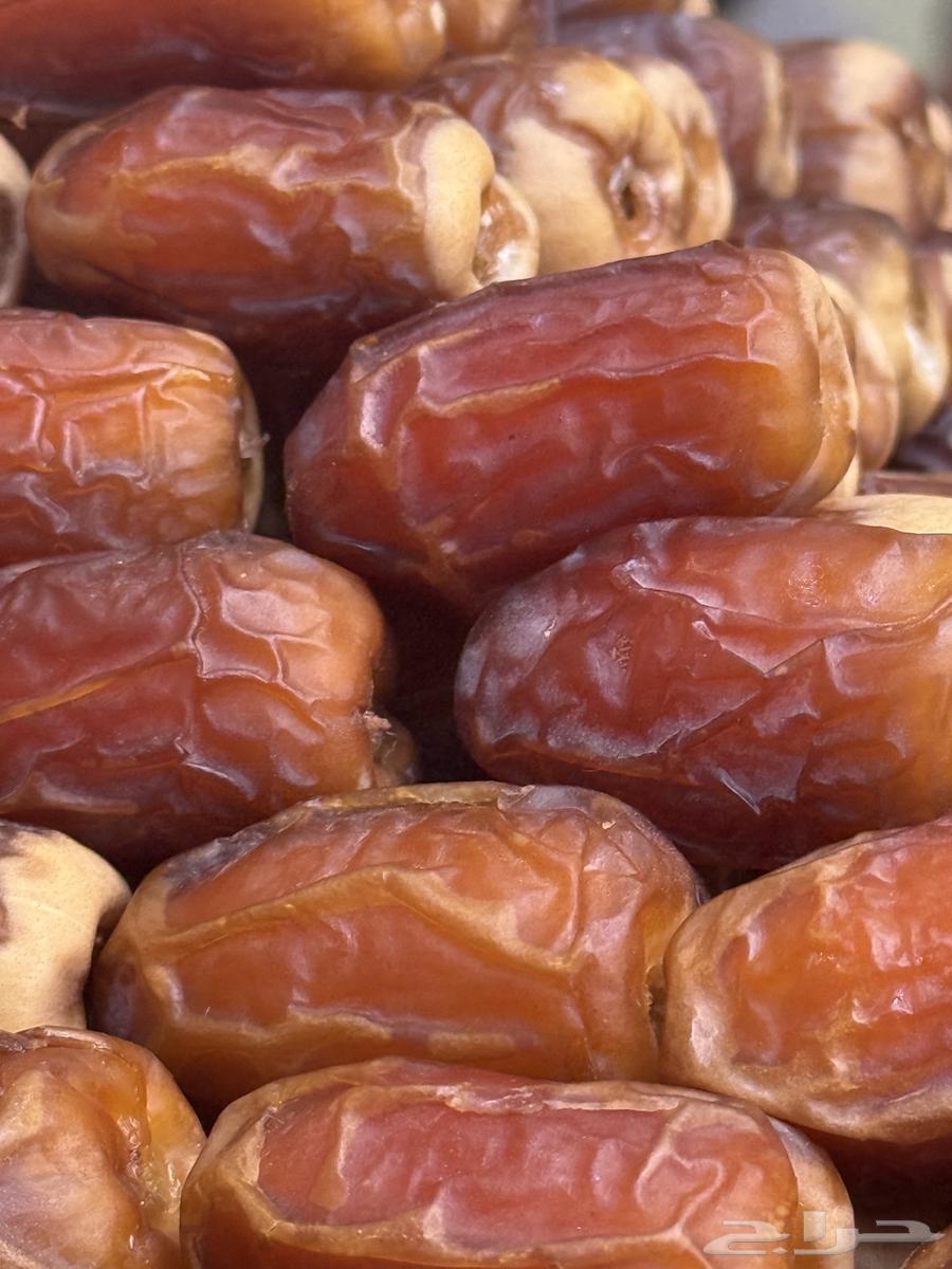 صقعي ملكي فاخر64413599629058110