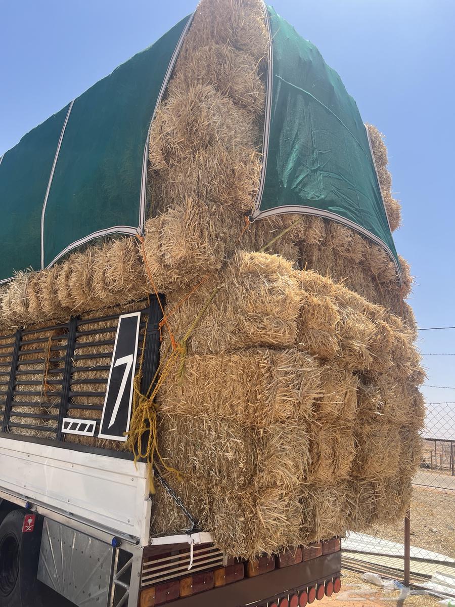 تبن بر64414368987523110