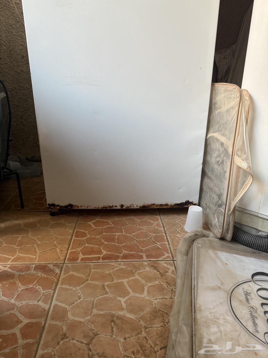 ثلاجة هاس بدون فريزر64415128264706113