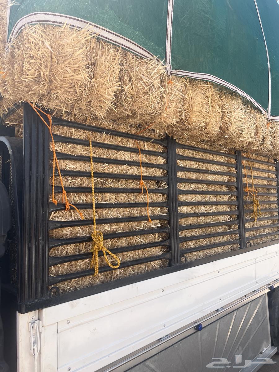 تبن بر64414368987523114