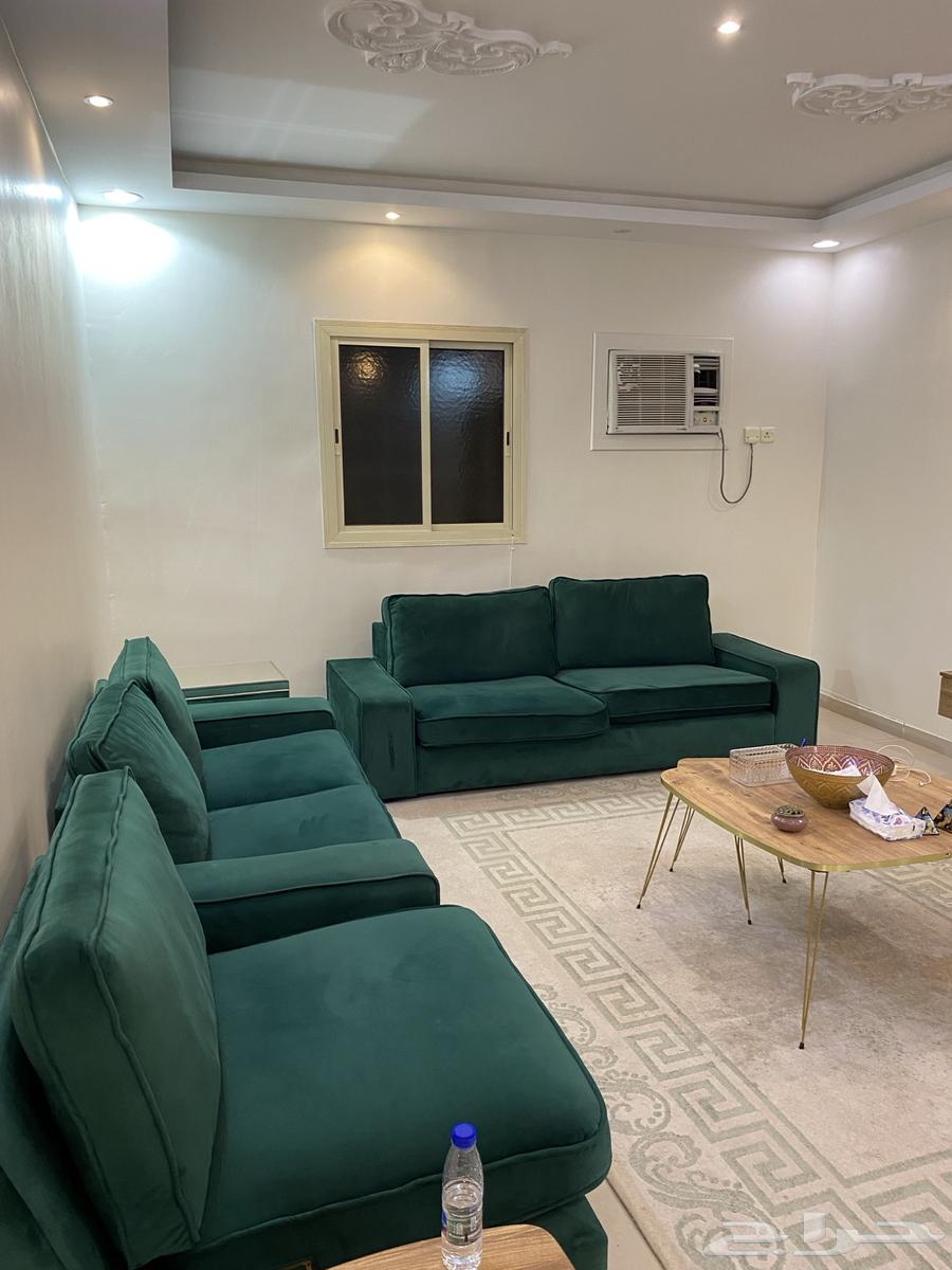 Clean Olive Sofa Set64412360420353111