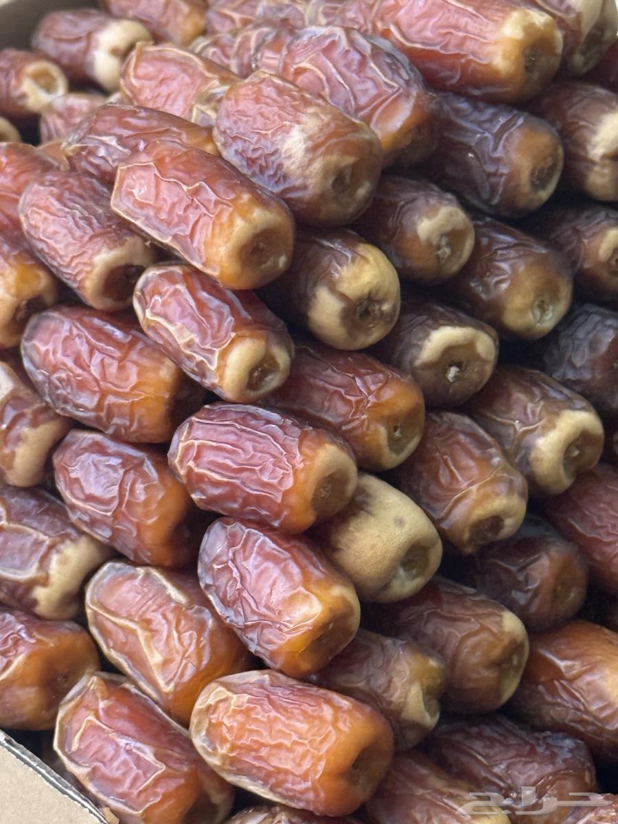 صقعي ملكي فاخر64413599629058113