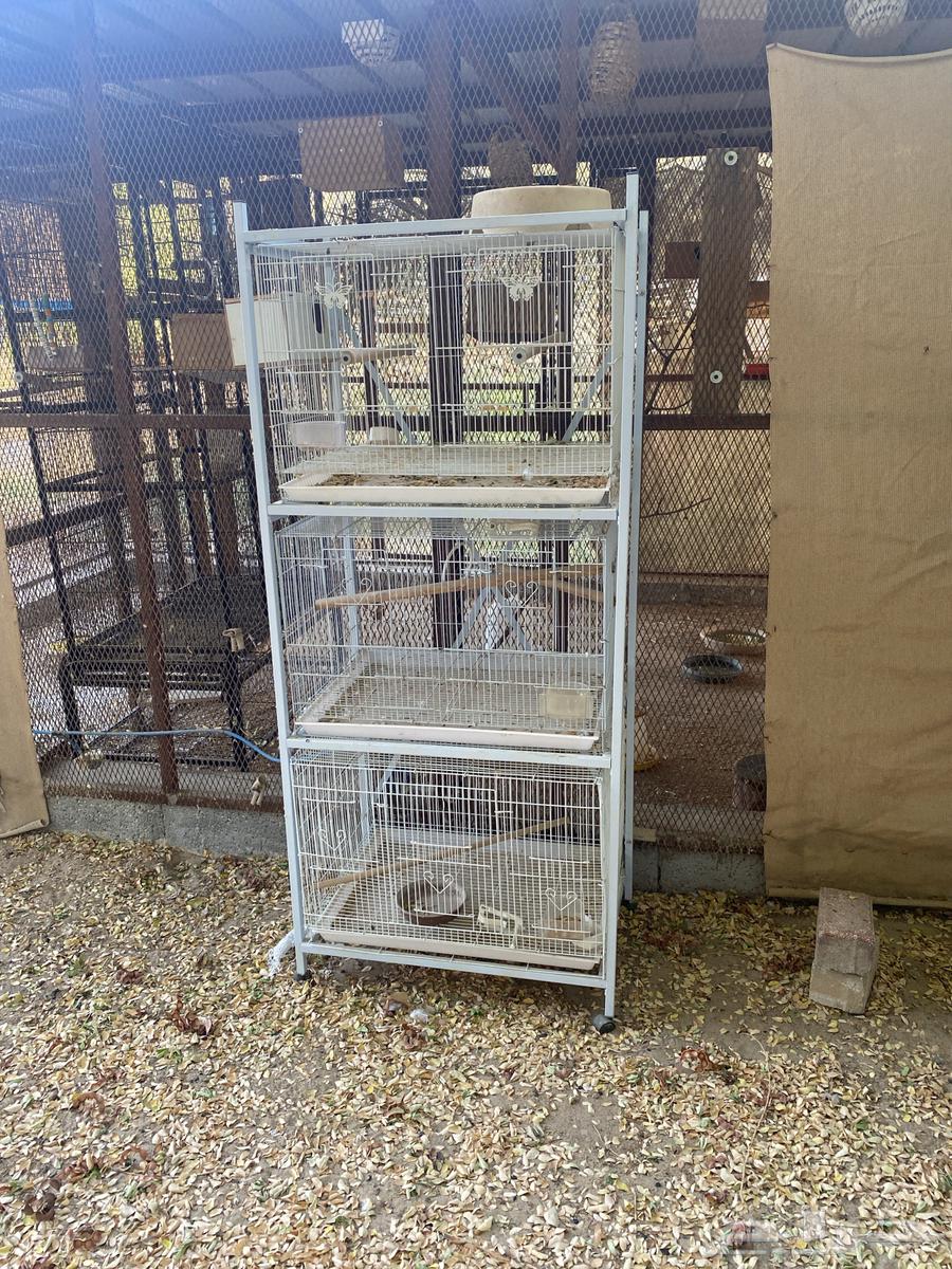 Stand 60164416400361602110