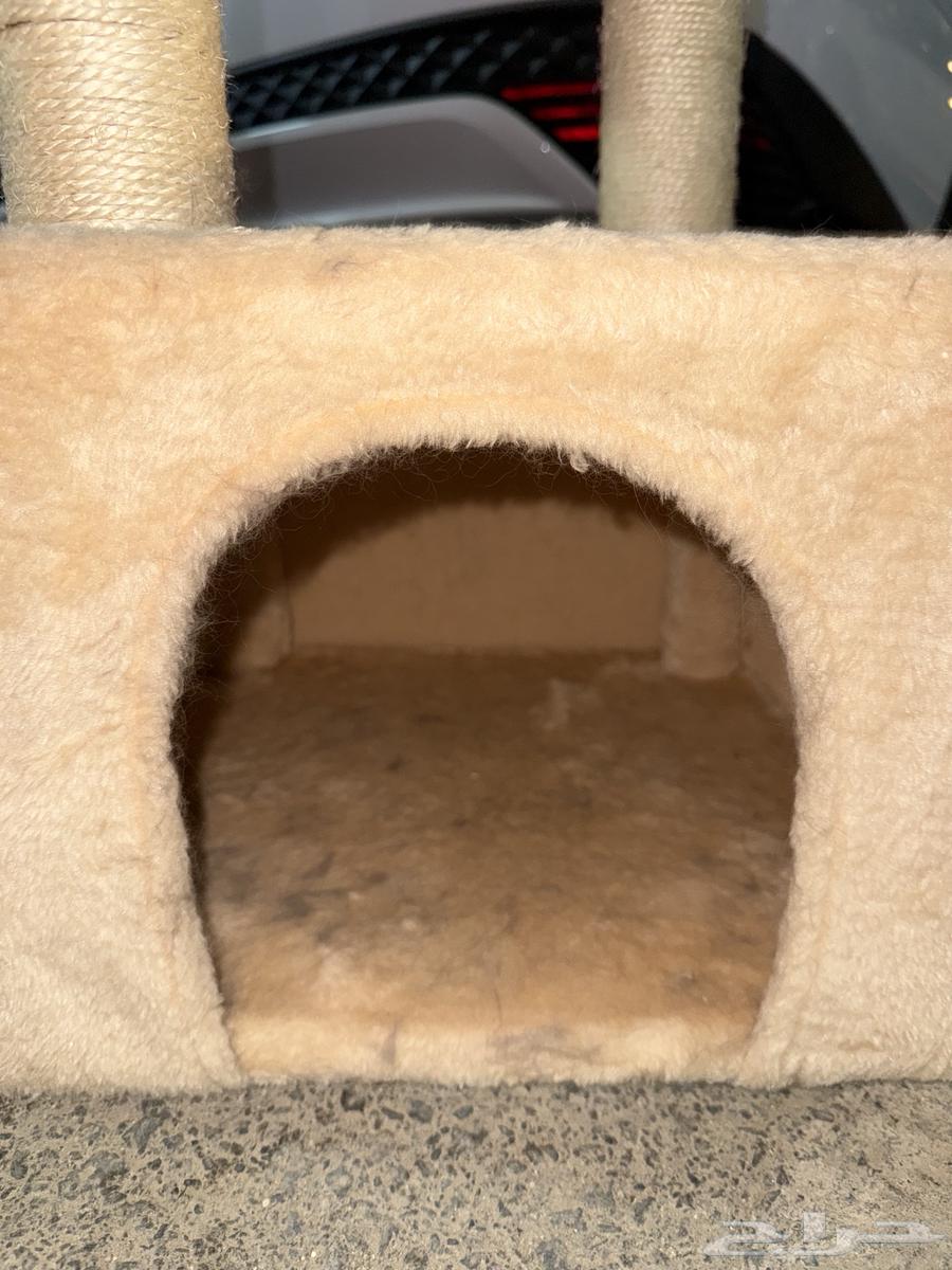 للبيع بيت بسس64418824465027111