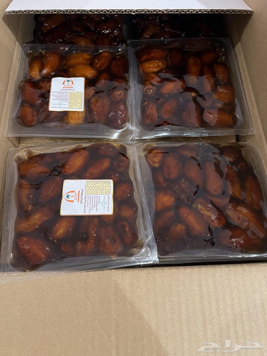 تمر صفري بيشة - مزارع الثنية64415572348290111