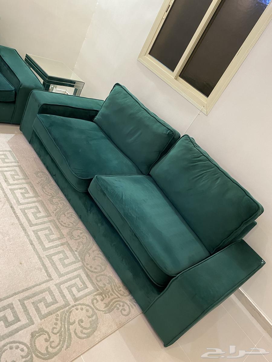 Clean Olive Sofa Set64412360420353110
