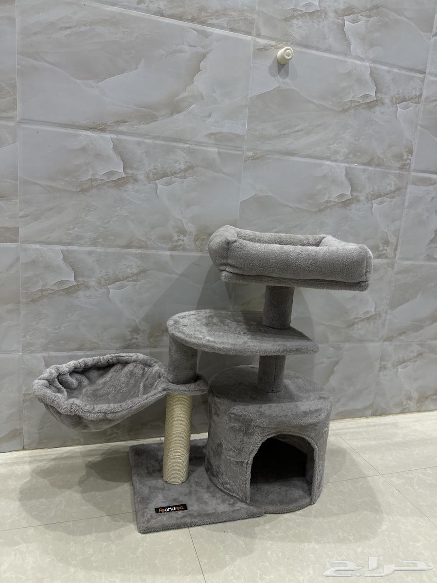 لوازم قطط سرير64419145038978110