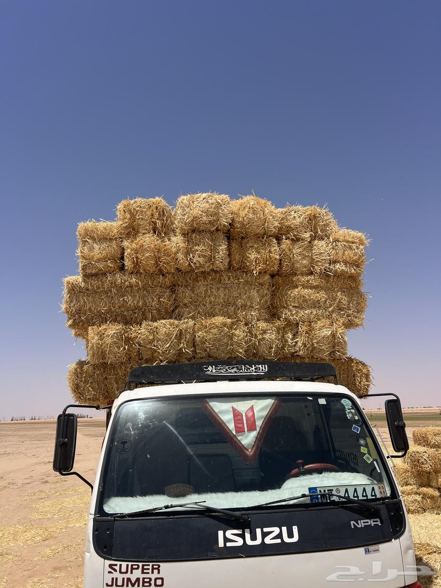 تبن بر صافي64415746776451111