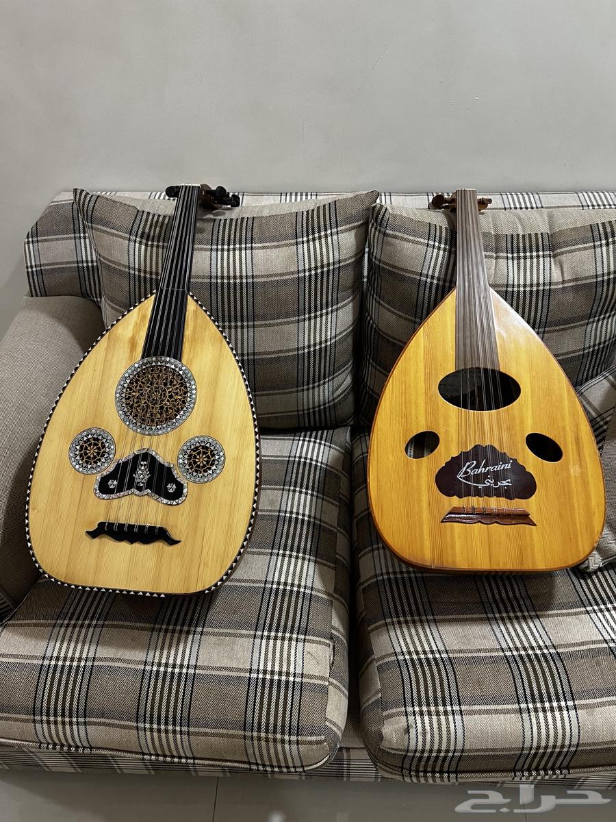 اعواد للبيع64417753008003110