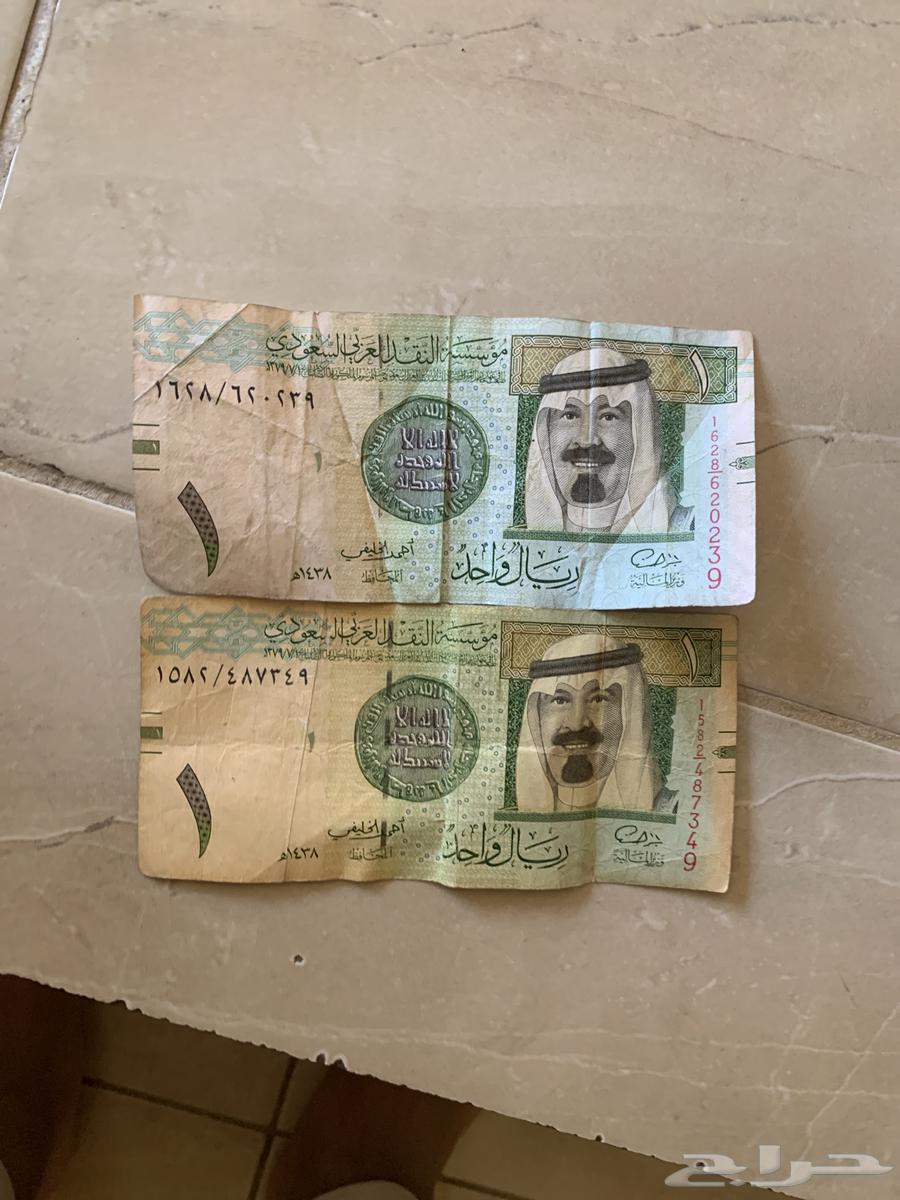 اريال نادرا64414833089795110