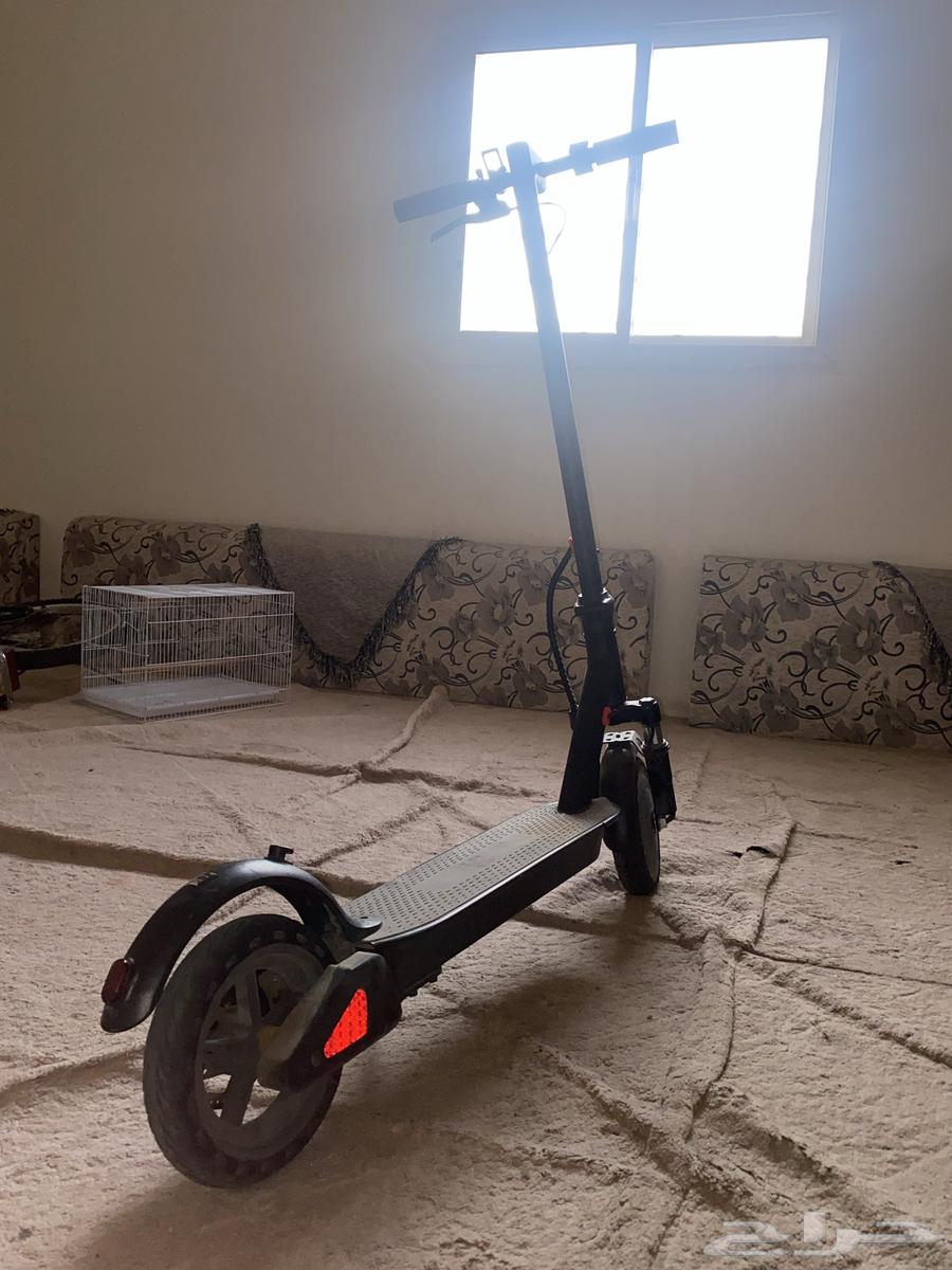 سكوتر جديد للبيع64416862263809110