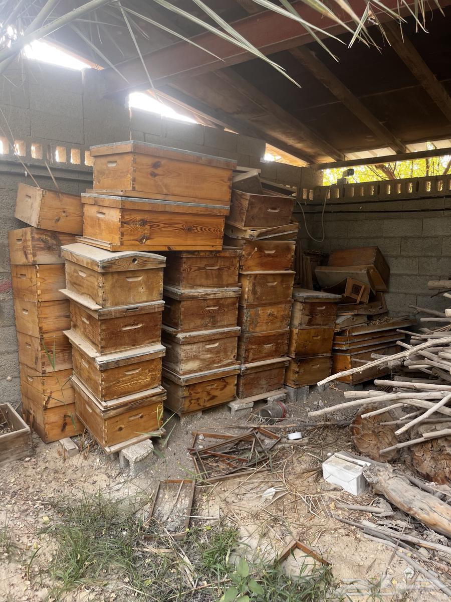 للبيع براويز نحل وخلايا فراز للبيع بأعلى سعر64415773846018113