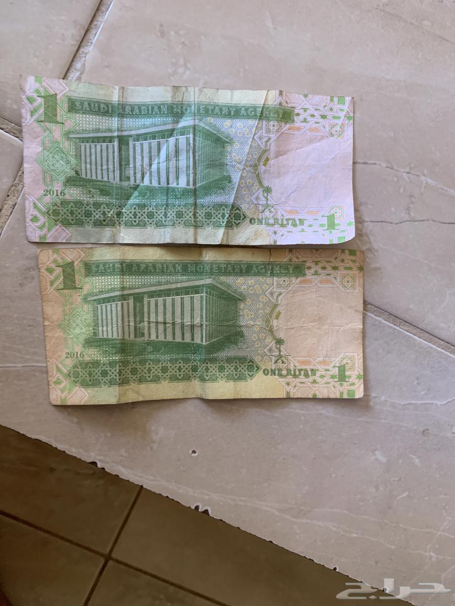 اريال نادرا64414833089795111