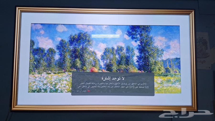 LG OLED C1 screen, the new one64416174536322110