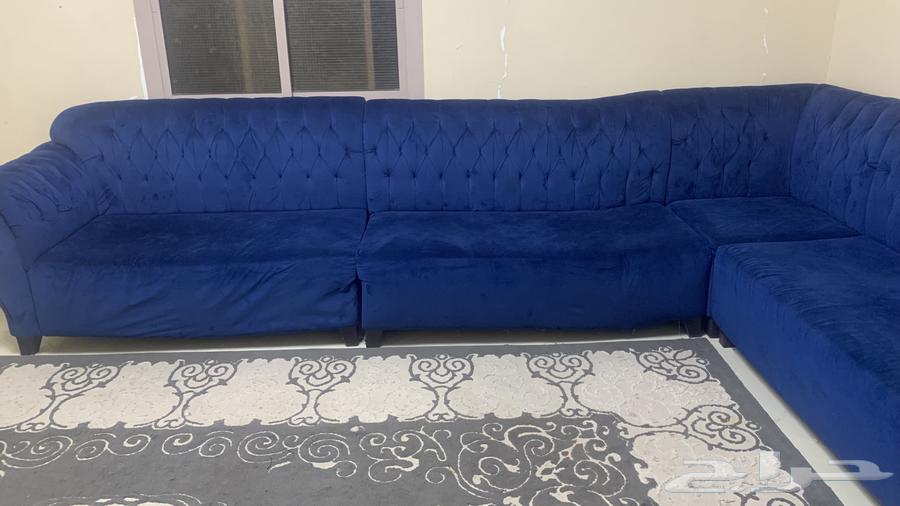 كنب 5 قطع. فرشه موكيت. دولاب ملابس64418594290051112