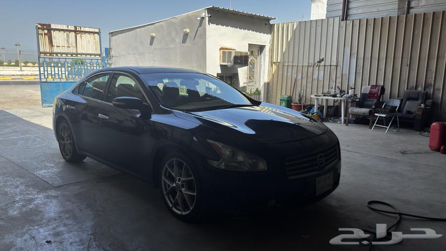 مكسيما 2010 للبيع64574228532481113