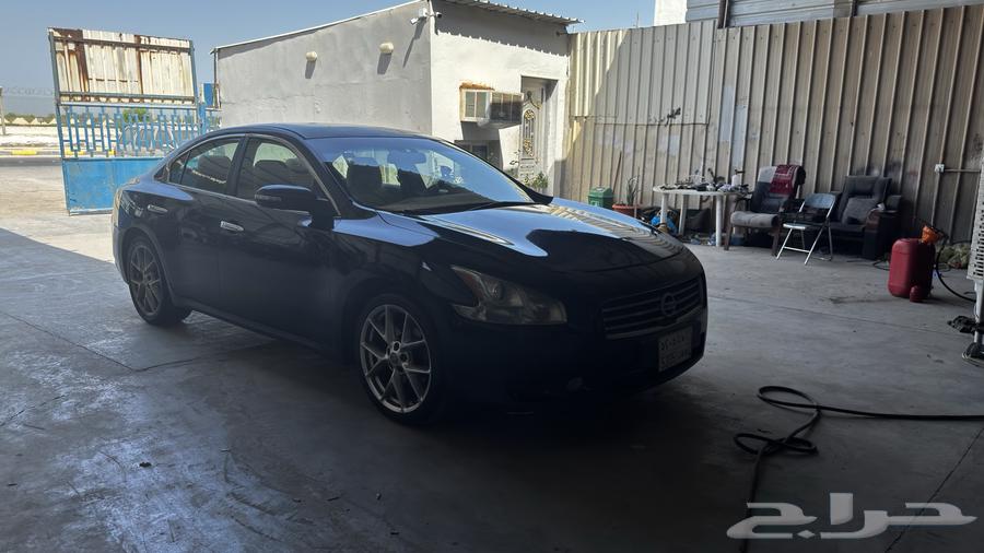 مكسيما 2010 للبيع64574228532481110