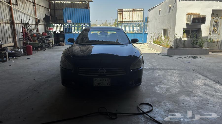 مكسيما 2010 للبيع64574228532481111