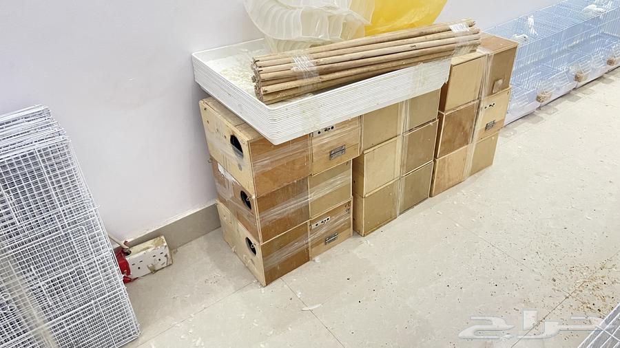 Cages and Linens for Sale64413759014017110