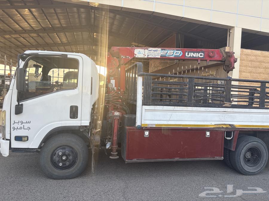 دينا ونش64575780897155111