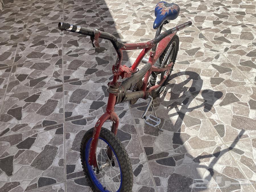 Cycle 2064415047445505110