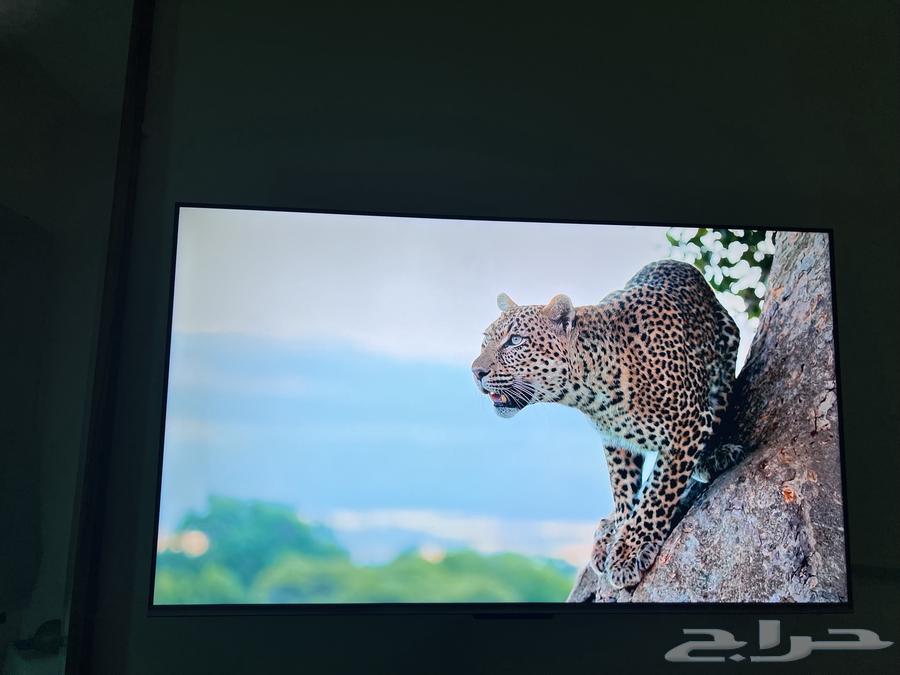 شاشة هاير 55 بوصة Google TV Qled 4K64418106894339110