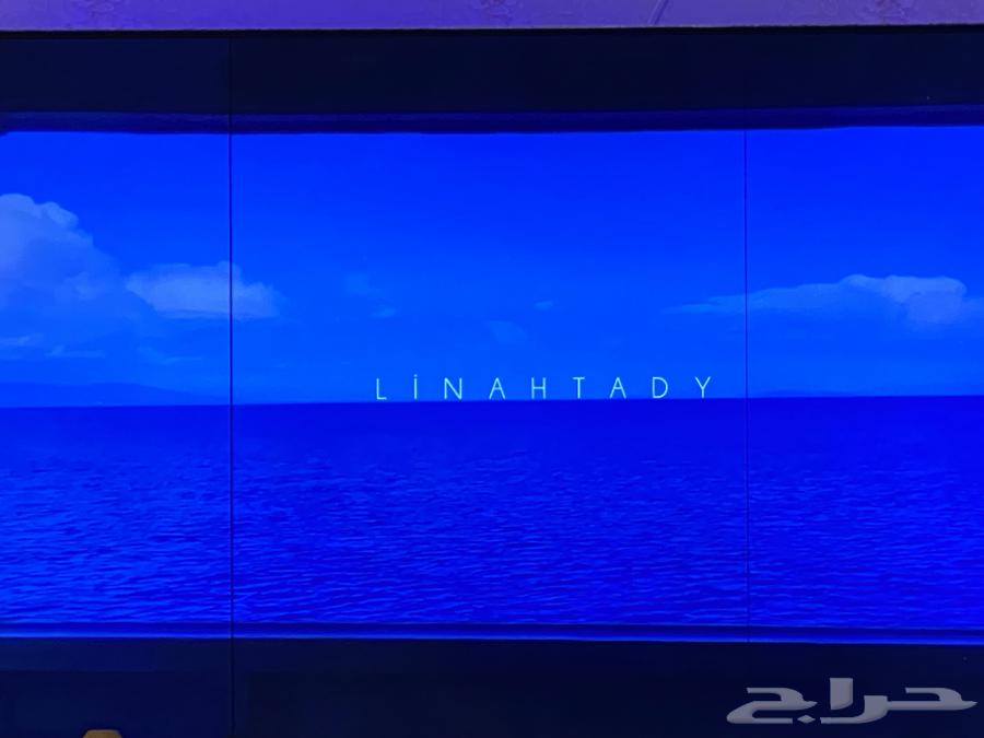 تلفزيون64402190227713113