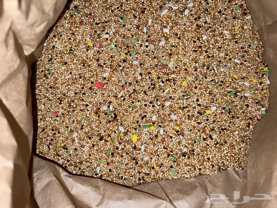 اكل بادجي ( طيور الحب )64415625904258111