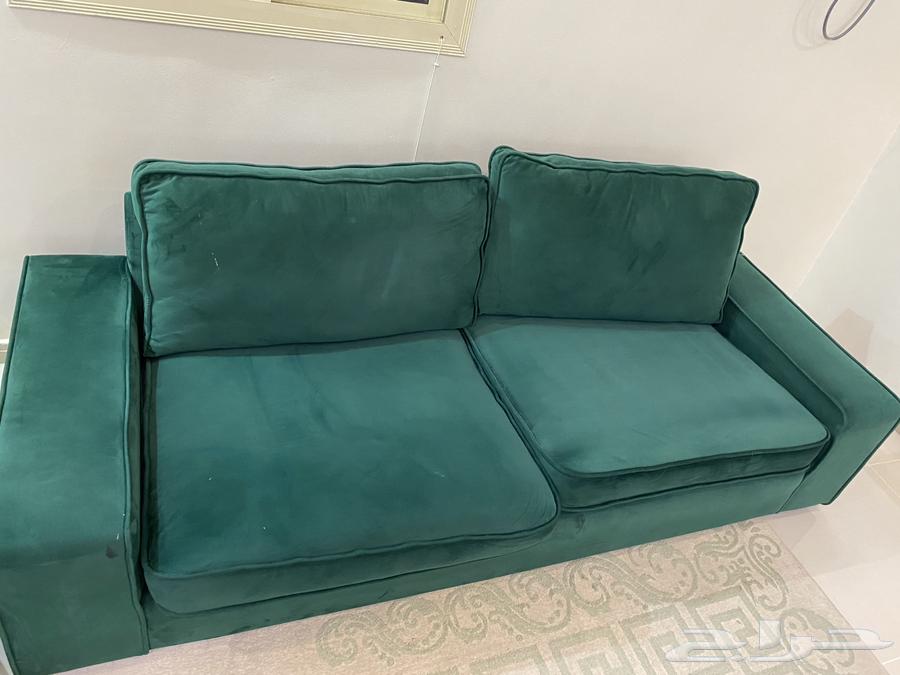 Clean Olive Sofa Set64412360420353114