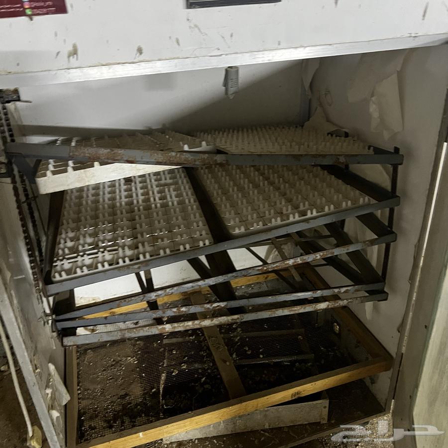 فقاسة 880 بيضة64419225058691112