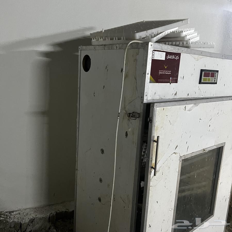 فقاسة 880 بيضة64419225058691110