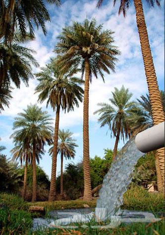 Premium Dates You Can't Miss64414063870081110