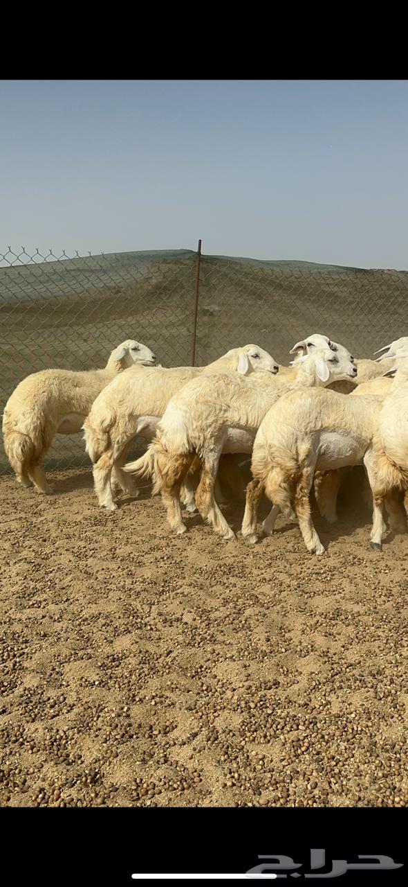 Rkhal Juthat64415087824514112