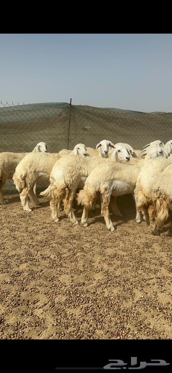 Rkhal Juthat64415087824514111