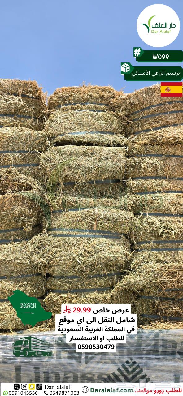 عرض برسيم الراعي الاسباني64417998892291112