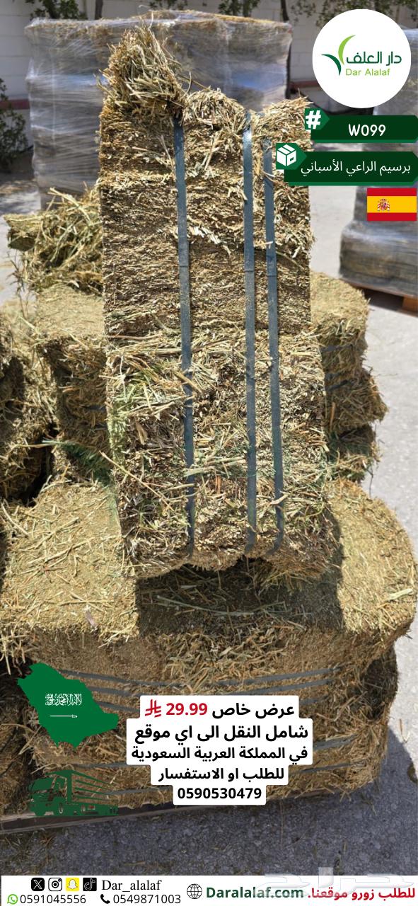 عرض برسيم الراعي الاسباني64417998892291111